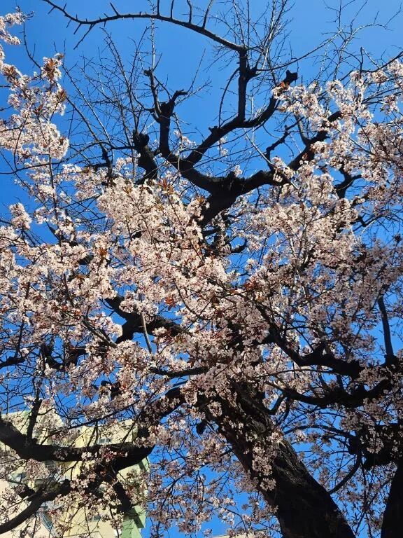 ぽかぽか〜️☀️.°