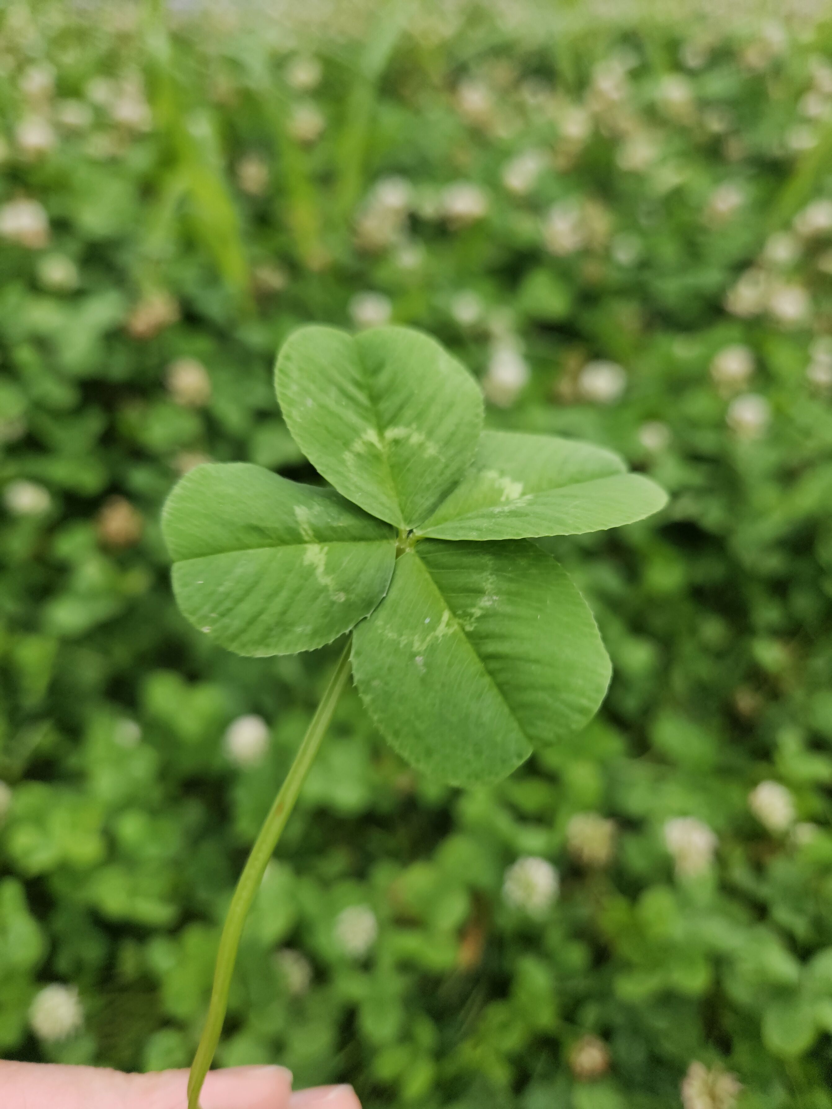 ありがとうございます♡