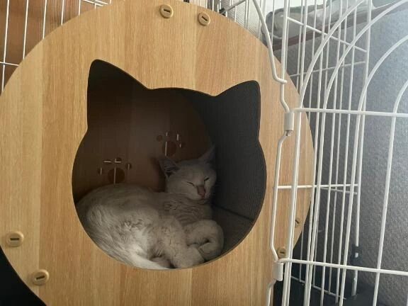 おはようです✨️