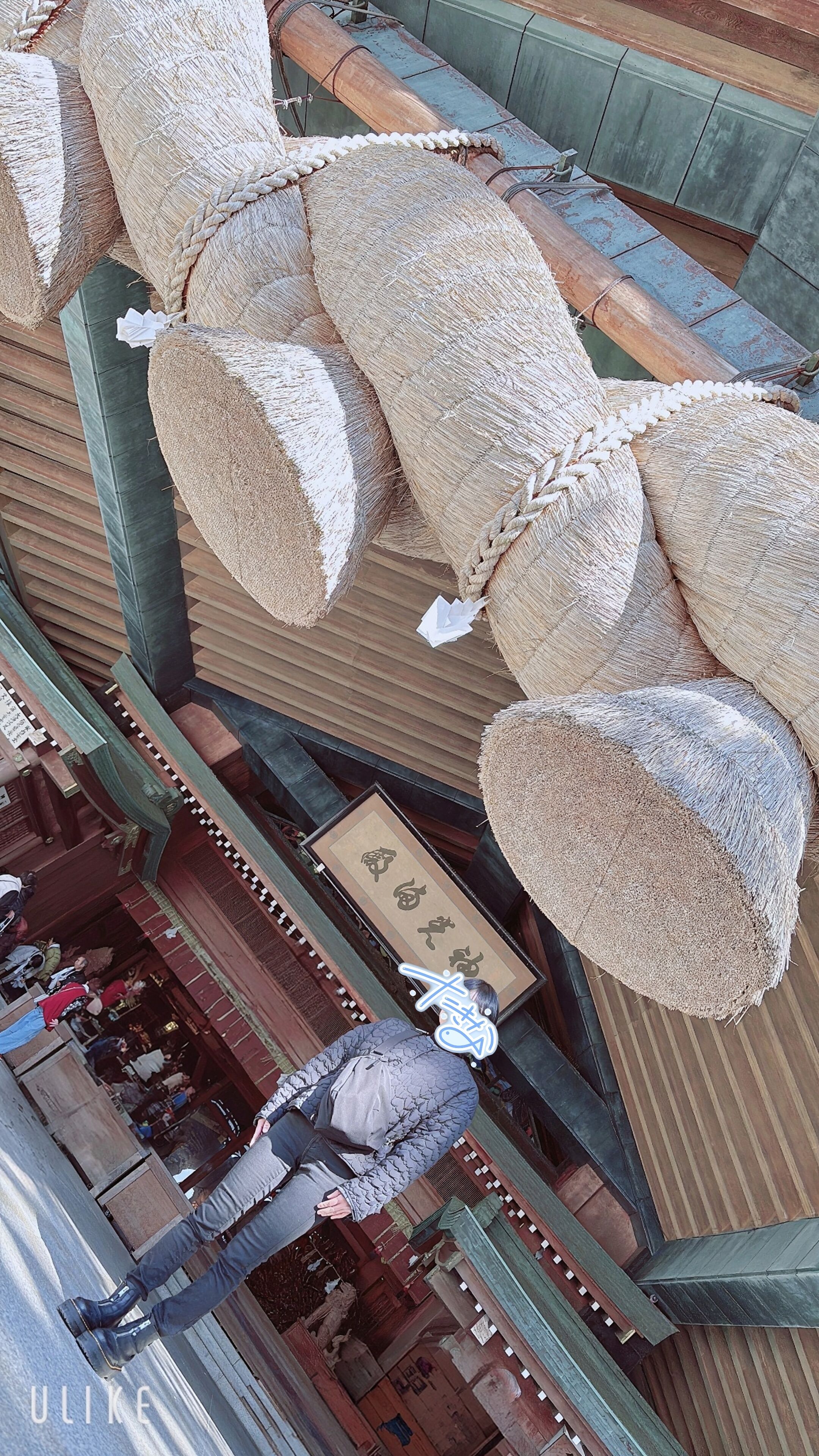 おはようございます☀︎