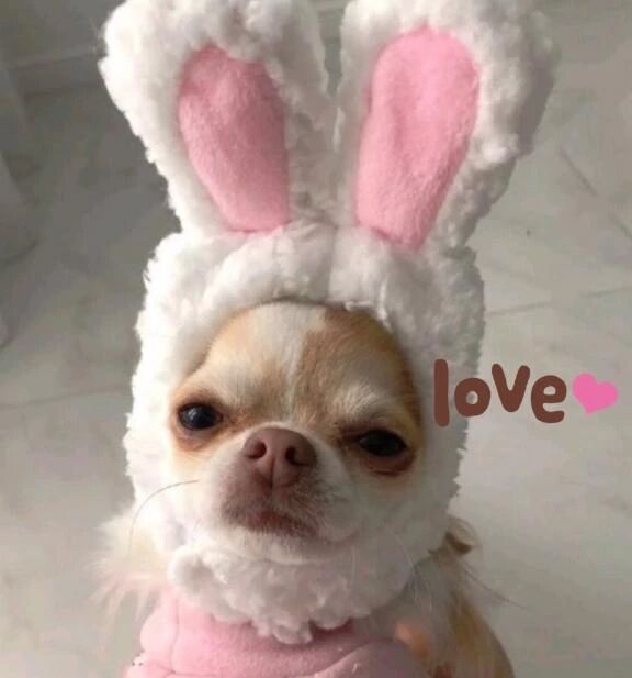 【お礼写メ日記】クチコミありがとうございます☘️🫶