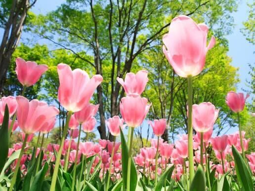 おはよう♡♡♡