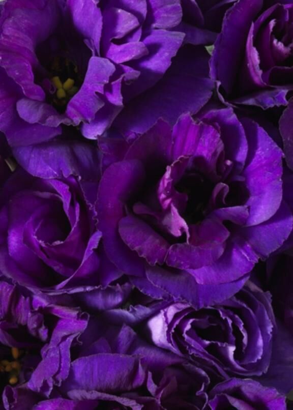 金曜日の感謝を込めて♡