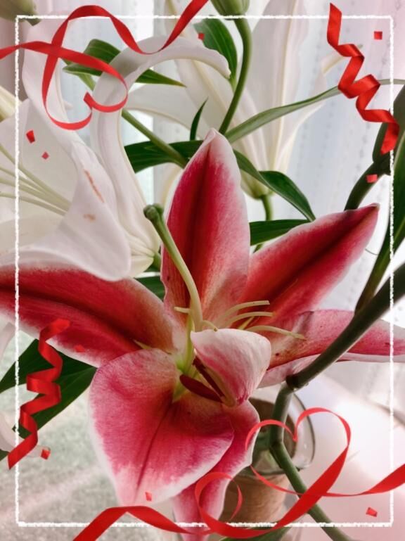 ありがとうございました^ - ^