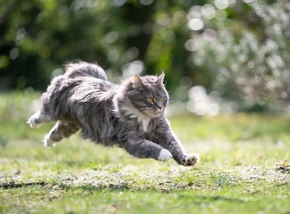 [お題]from:全力坂道さん