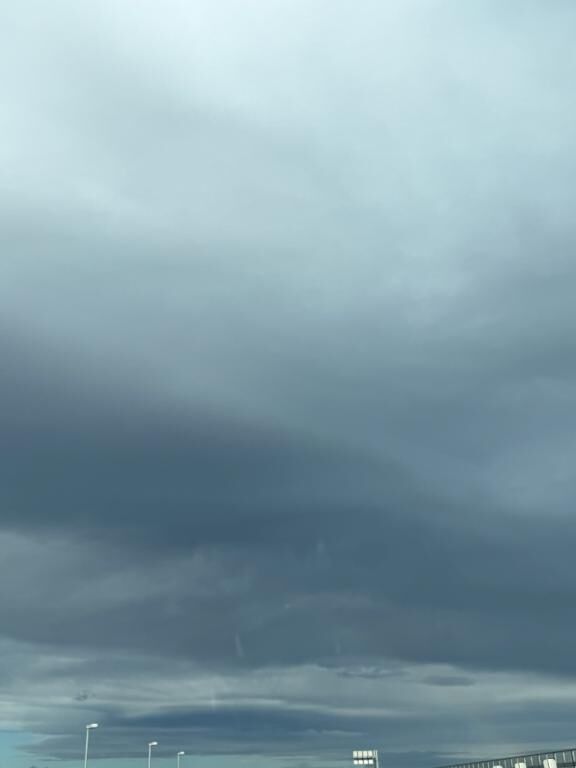 最近花粉やばくて・・・