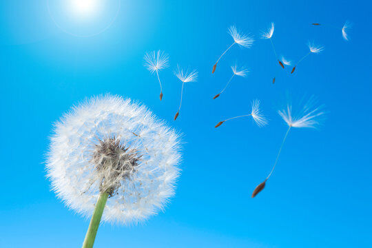 15日(日)　12時　♡様