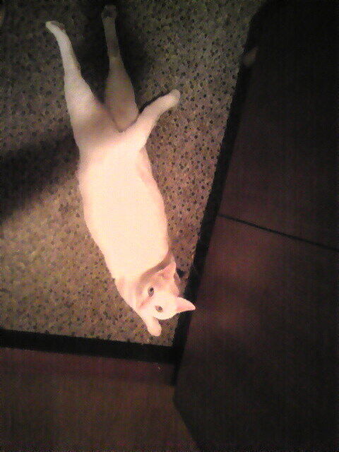 おはようございます☁