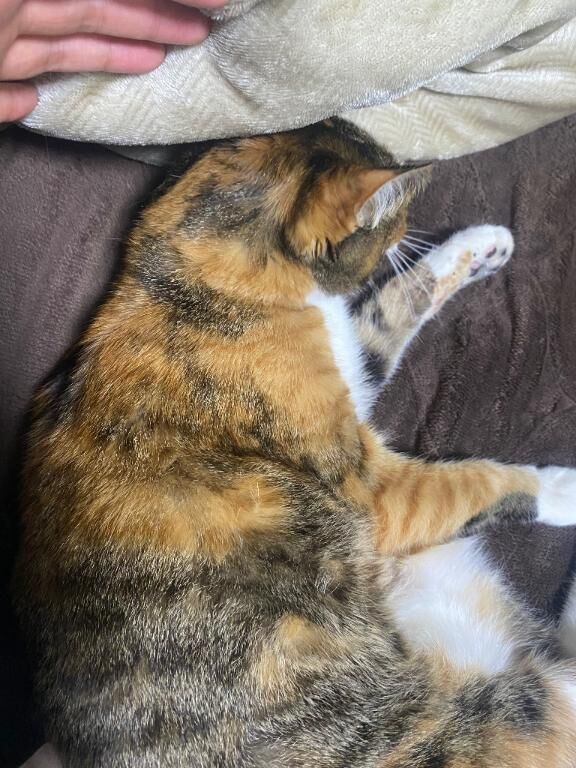 夜は冷えるね🌃🌙*゜