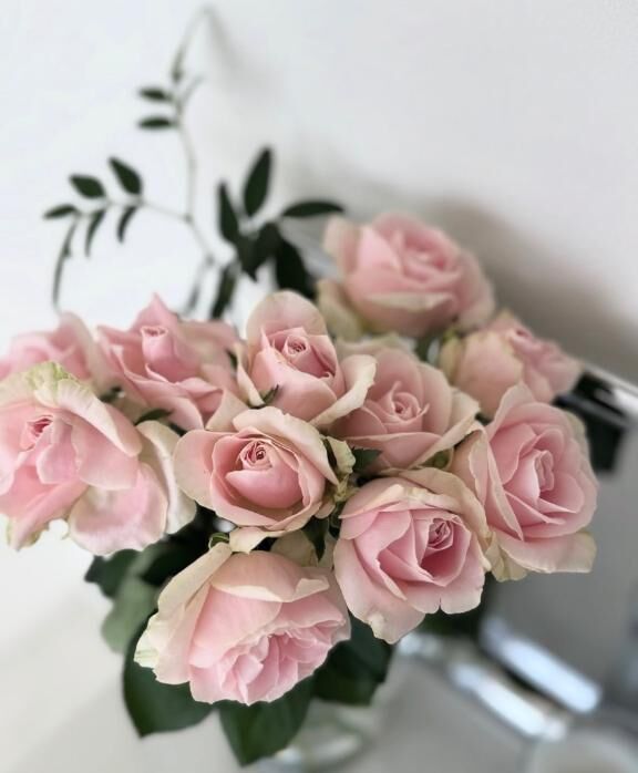 お久しぶりです