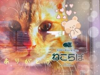 ありがとうございました！