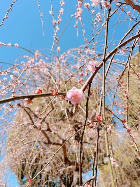 本日出勤だよ❤️