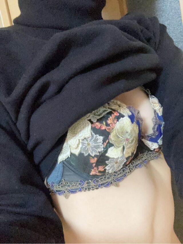 いつもの電車でゴーしてます