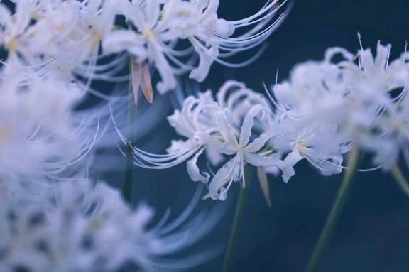 ごめんなさい🙇&zwj;♀️