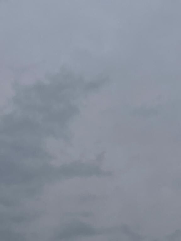 降られちゃった