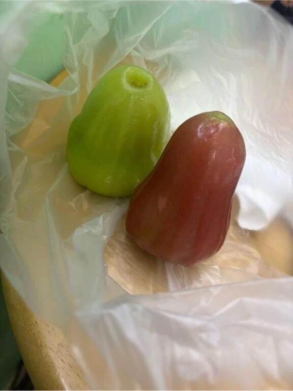 【ついたよー】