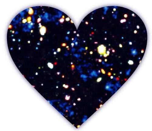 残念でした（涙）