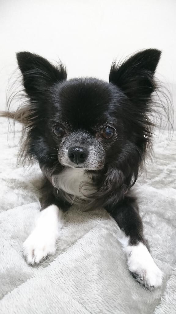 19日(木)の合言葉