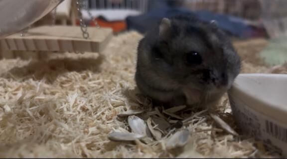 ♡ 今日はおやすみ