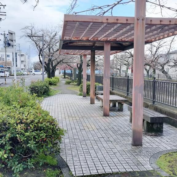 デビューの予感・・