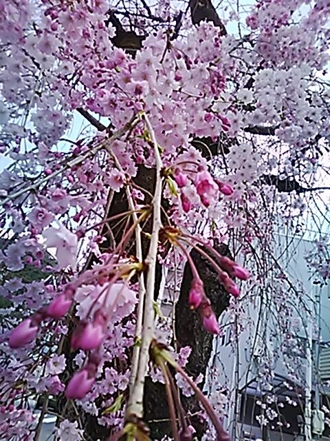 出勤途中の岐阜駅で