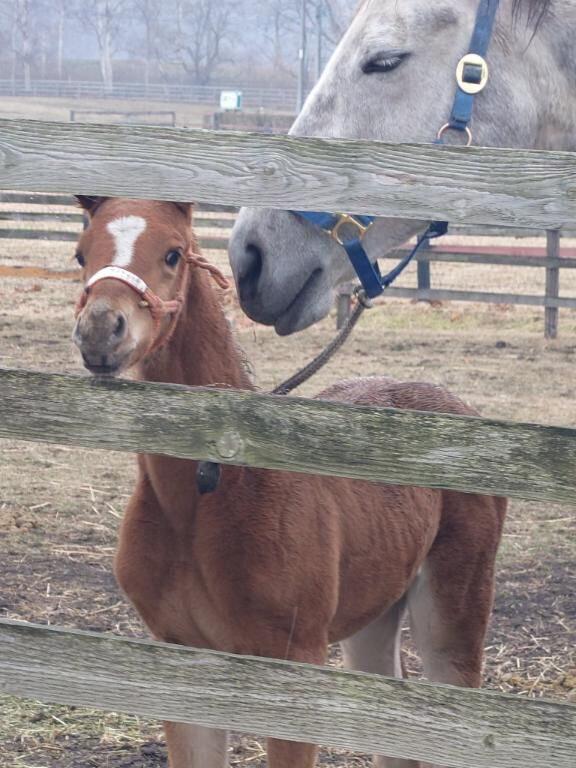 ♡♡♡♡♡♡♡