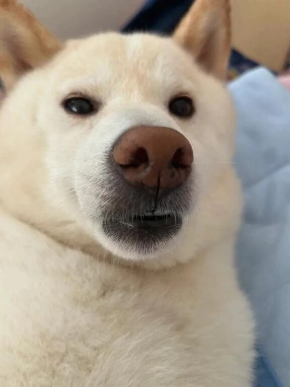 まだまだいます！！