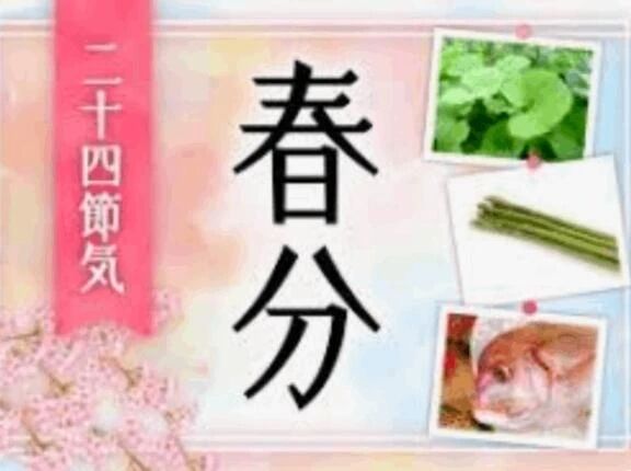 🌸春分の日🌸