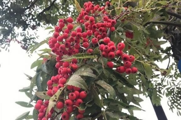 こんばんは(^-^)