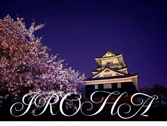 朝の日記なのに夜桜♡♡