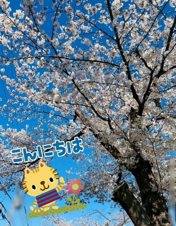 2月のお礼15♡入間基地に行ってみたい夢があります！