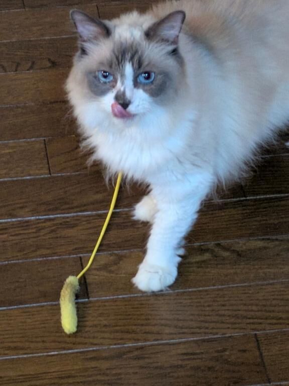 おはようございます