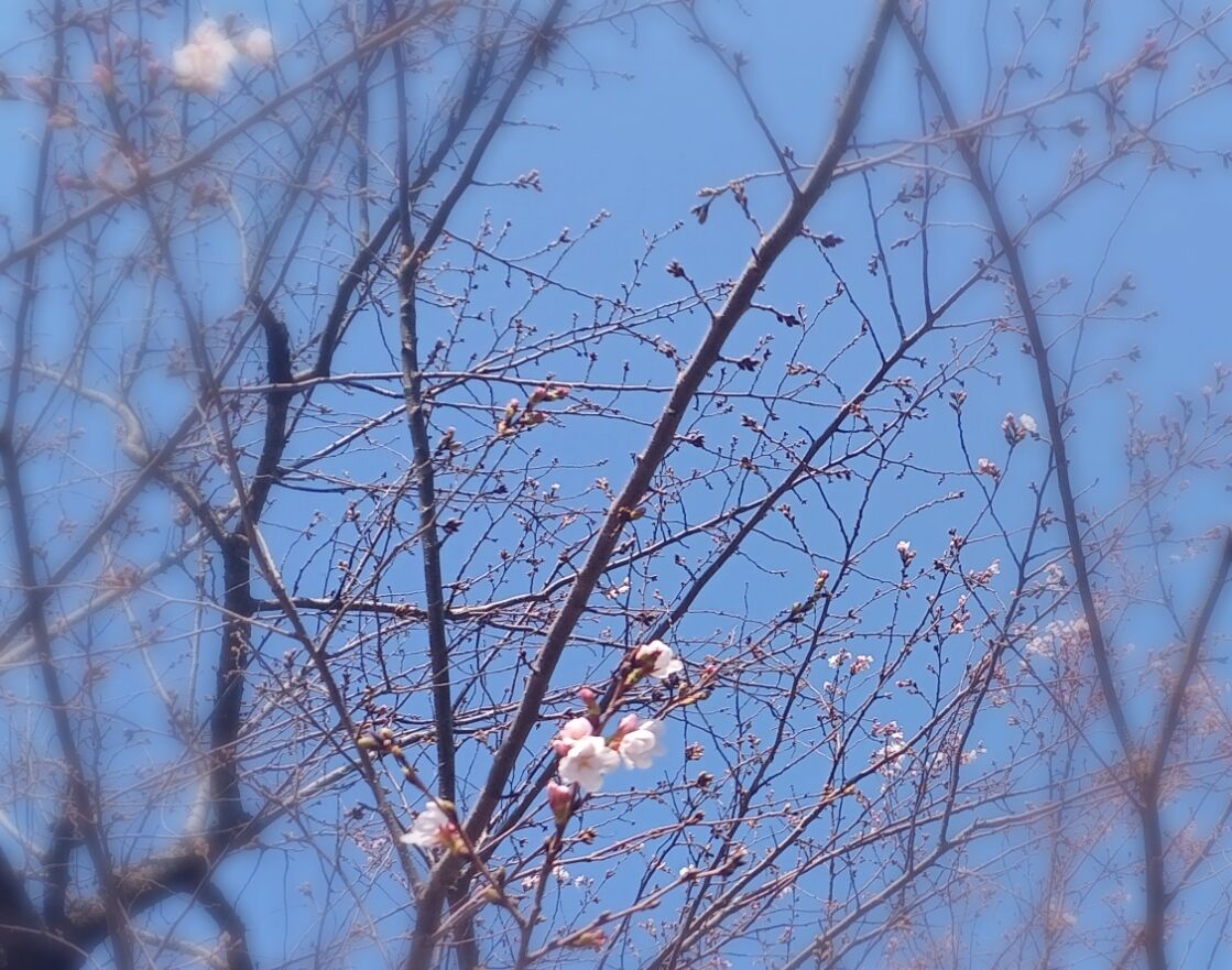 ありがとう( *´艸｀)