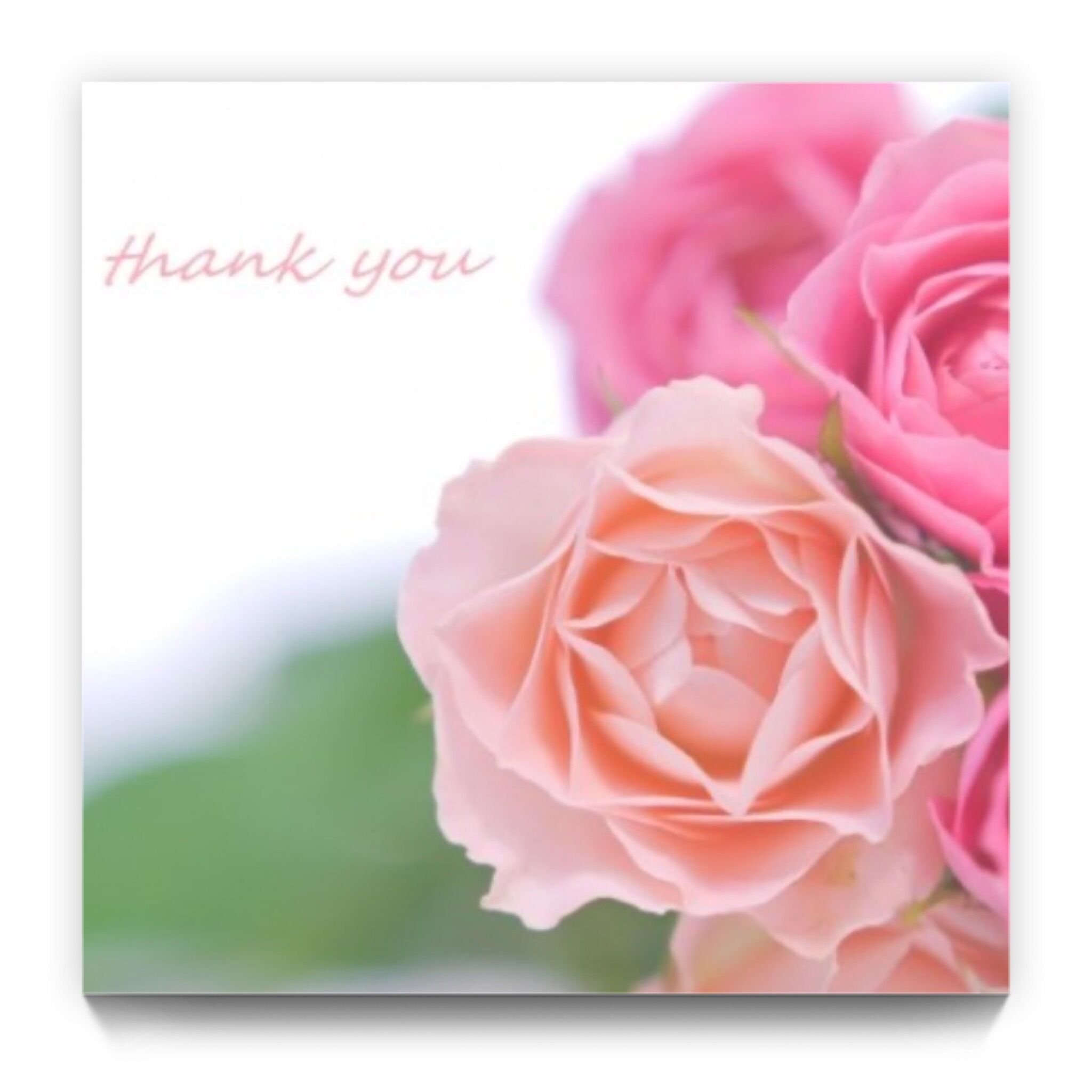 ありがとうございました♡