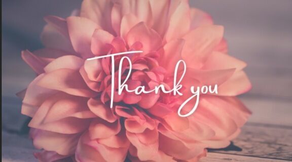 本日のお礼です♡