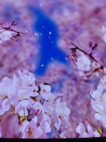 夜分にすみません