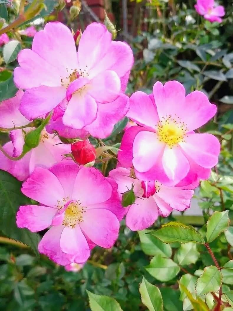 待ってます_(._.)_