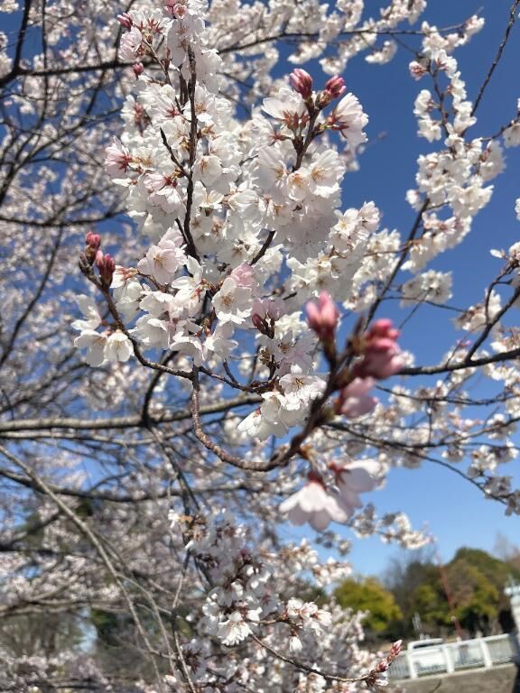 気分♡最and高♡