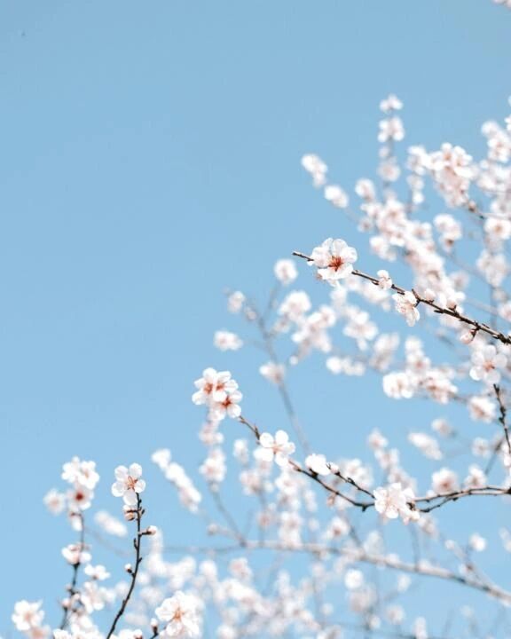 お知らせです。