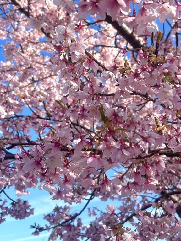 突然の出会い♡