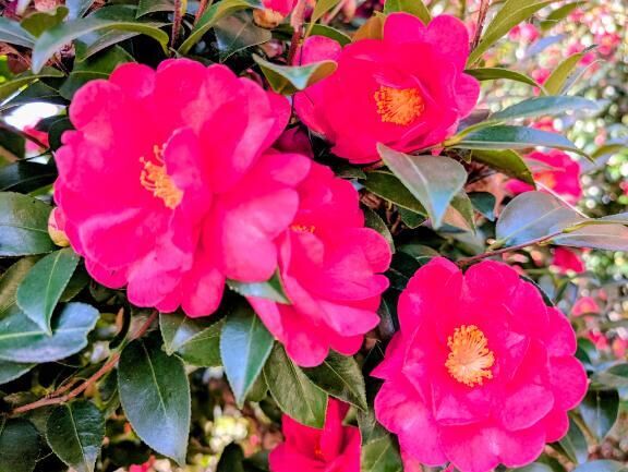 今日もありがとう♡