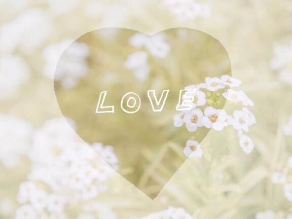 今週残り予定🌼