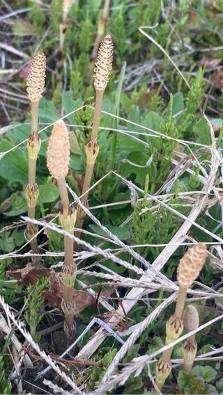 3月12日ありがとう