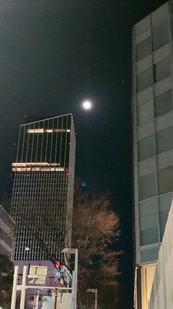 おやすみなさい♡