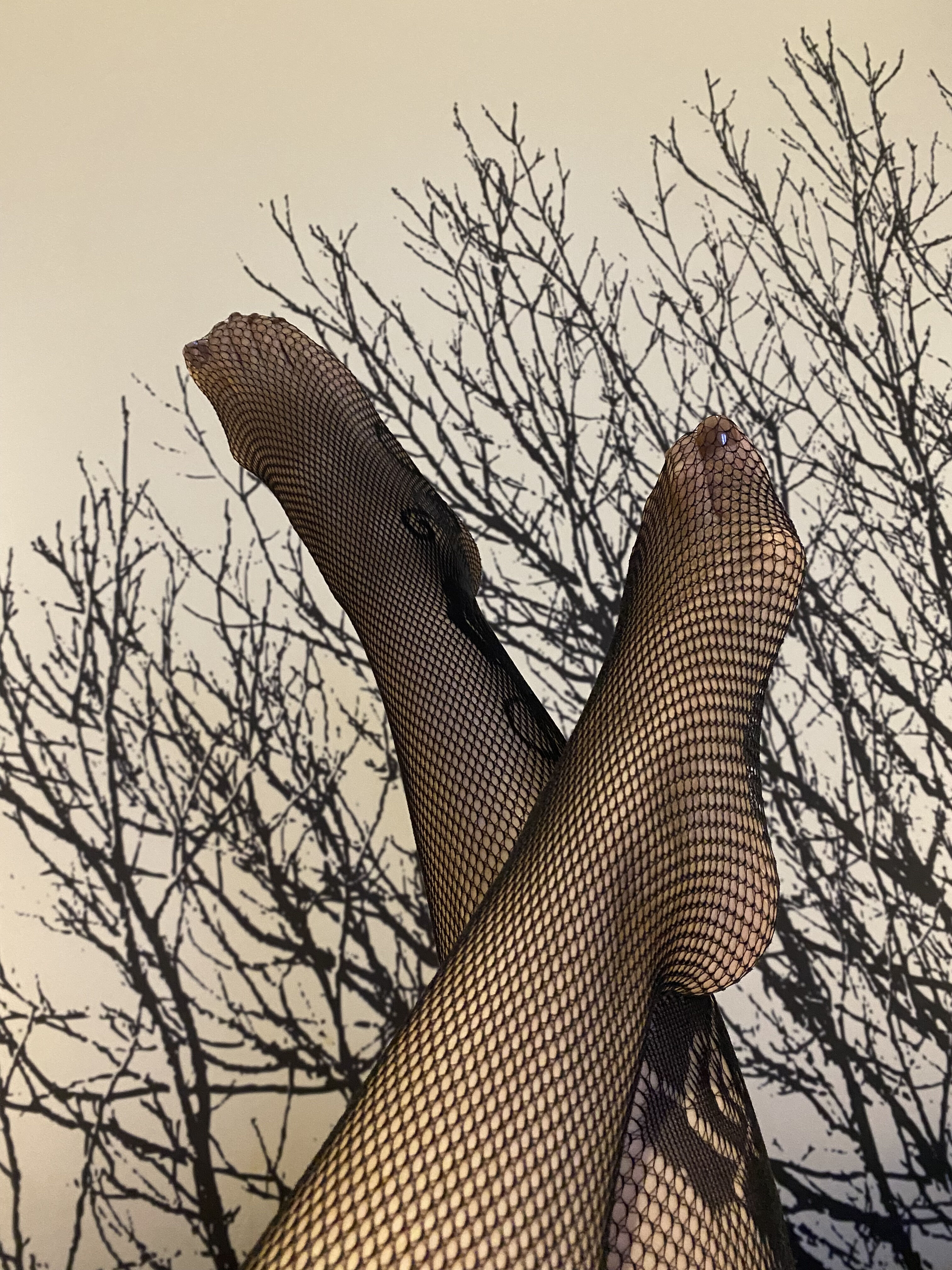 おはよう御座います