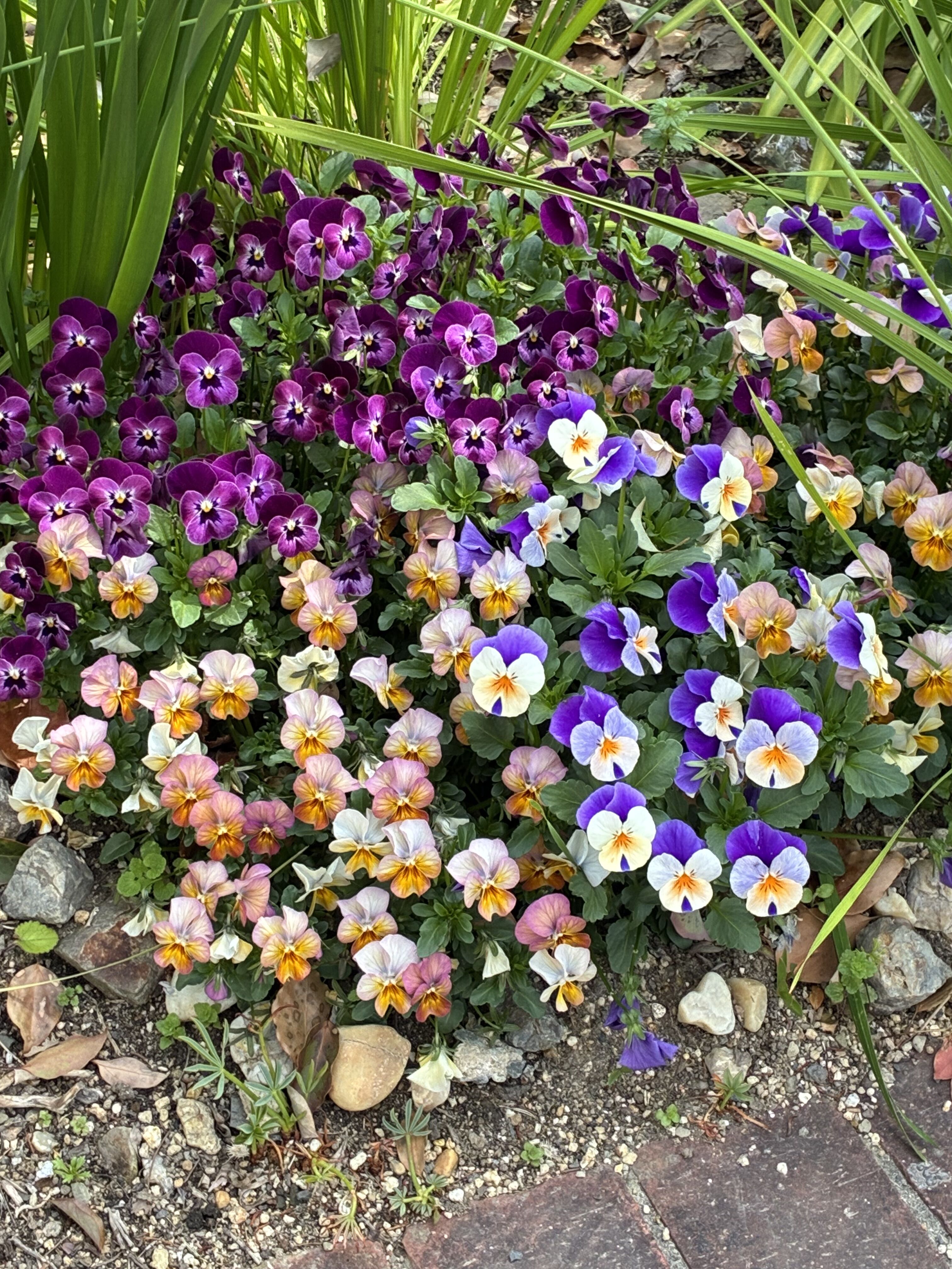 お疲れ様でした