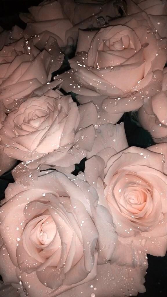 姫那からお願い♡♡