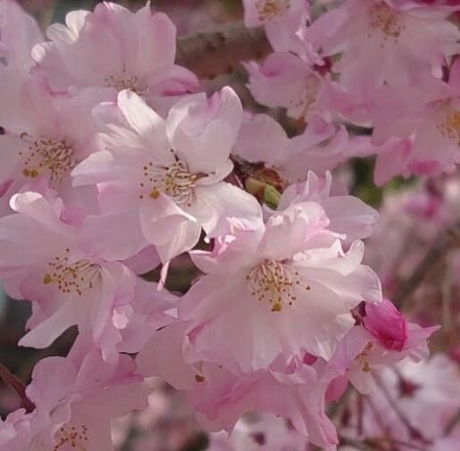 💕ありがとう💕