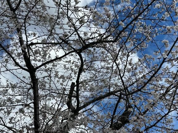 17時頃に向かいます〜