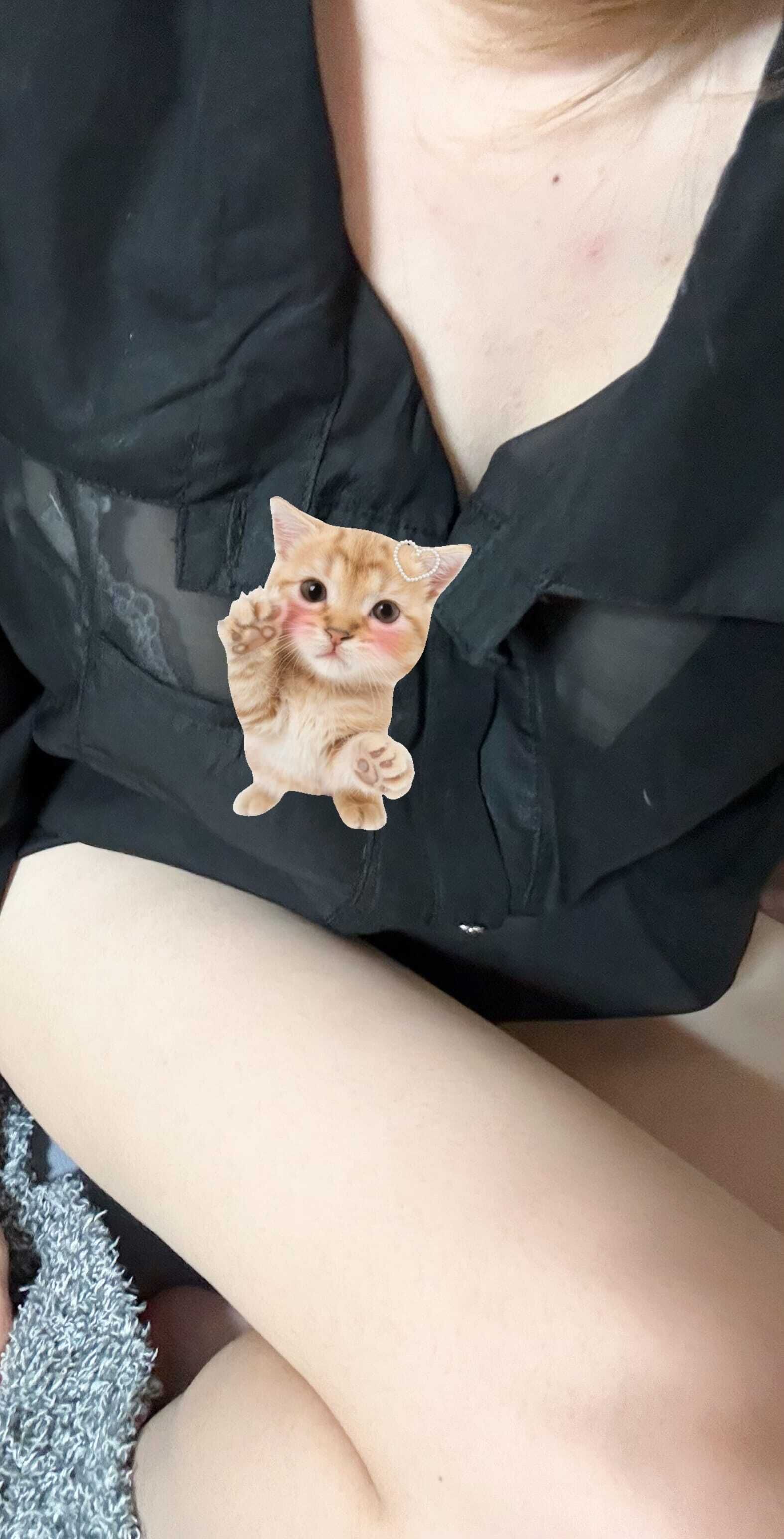 ˚‧(๑σωσ๑)&middot;˚₊